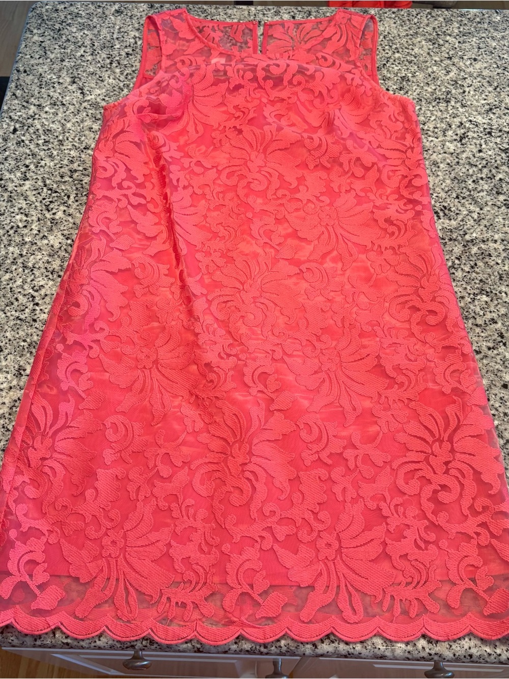 Donna Morgan Lace Shift Dress | Size 2
